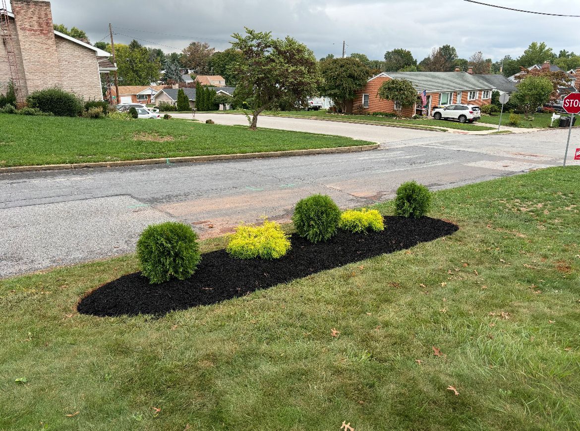 A lush green lawn with a stop sign in the background.