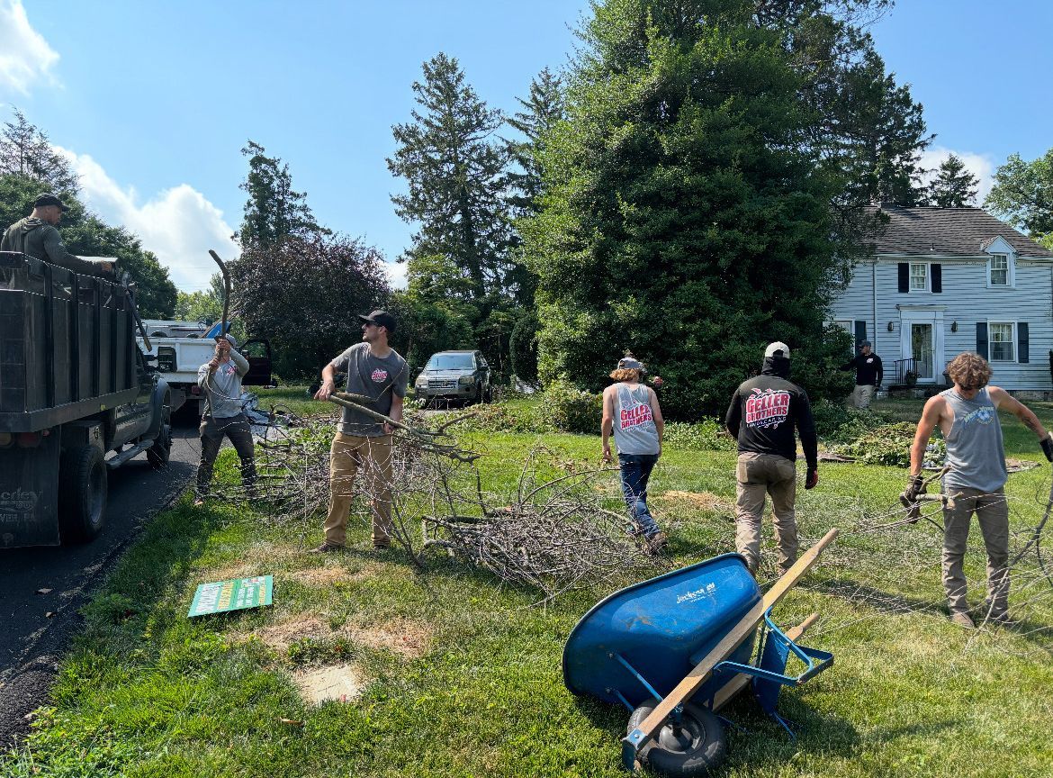 A group of people are working in a yard in front of a house.