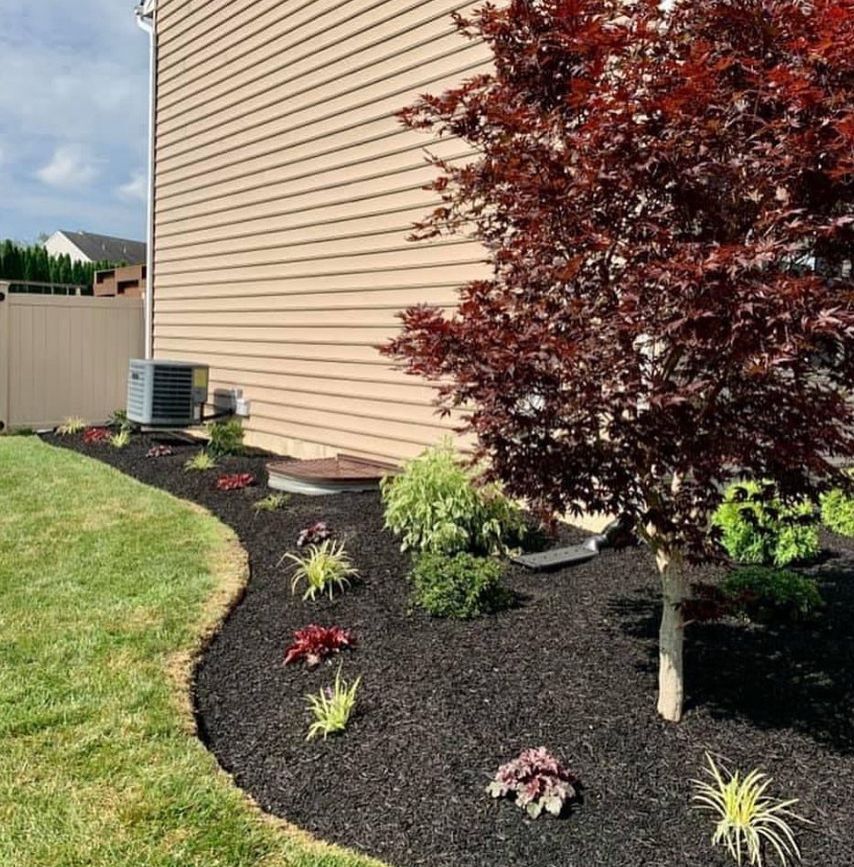A house with a fence and a tree in front of it.
