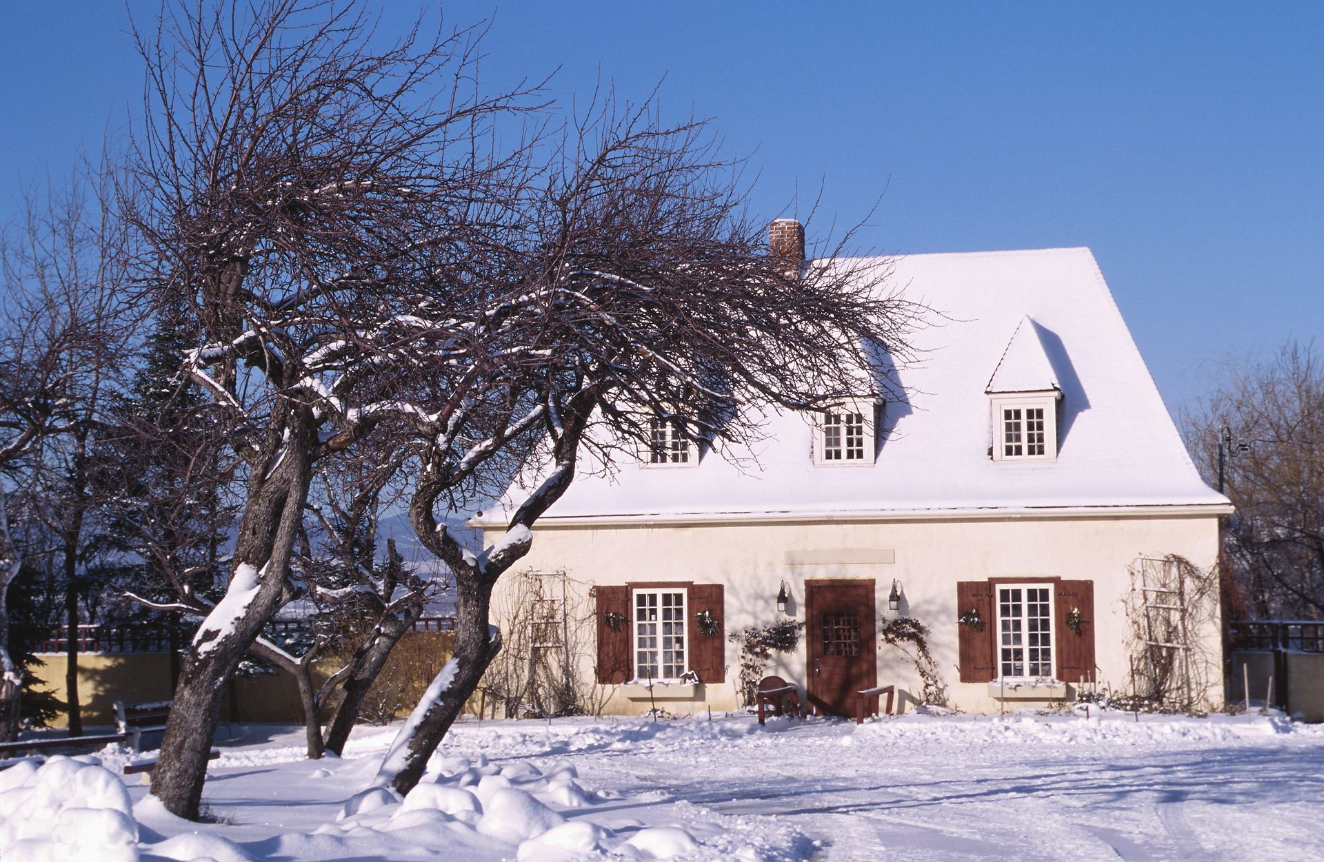 Snow-covered house with bare trees in winter sunlight