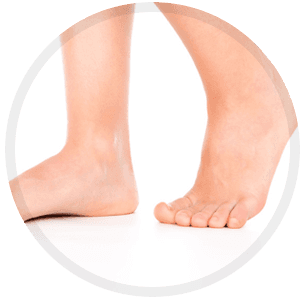 Foot