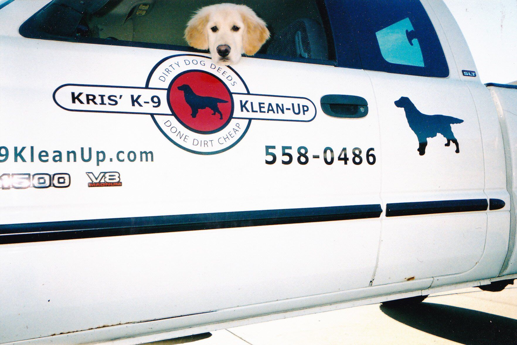 Pet Waste Removal Service