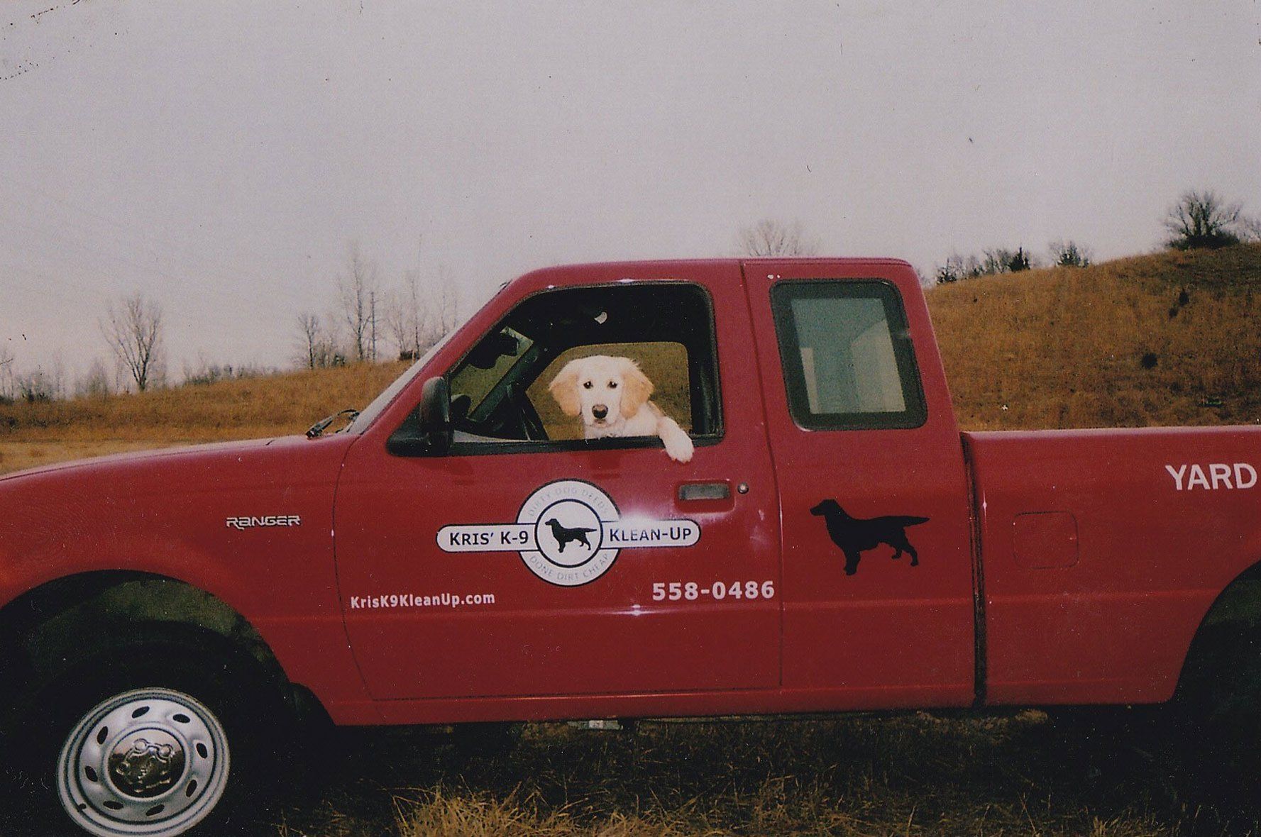 Pet Waste Removal Service