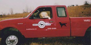 Pet Waste Removal