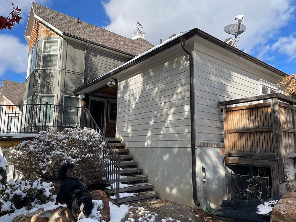 A dog stands on snow-covered ground near the steps of a two-story home with white siding and a brown roof.