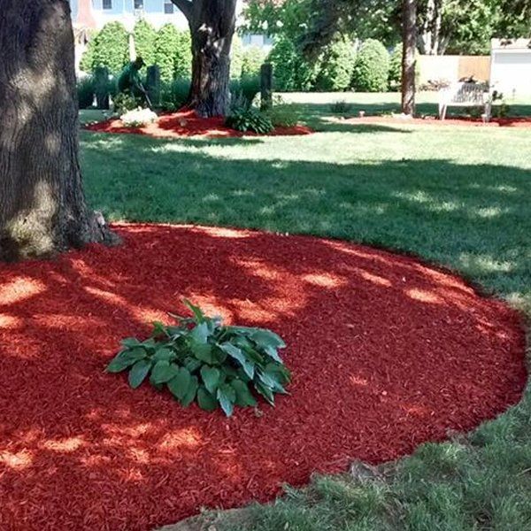 N & G Landscaping LLC Landscaper Landscaping Service East