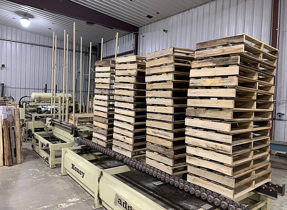 Industrial warehouse setting with four tall stacks of wooden pallets aligned on a metal conveyor system.