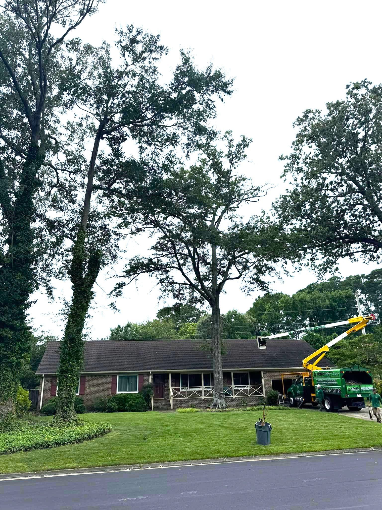 A green crane is cutting a tree in front of a house.