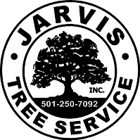 Jarvis Tree Service Inc - Logo