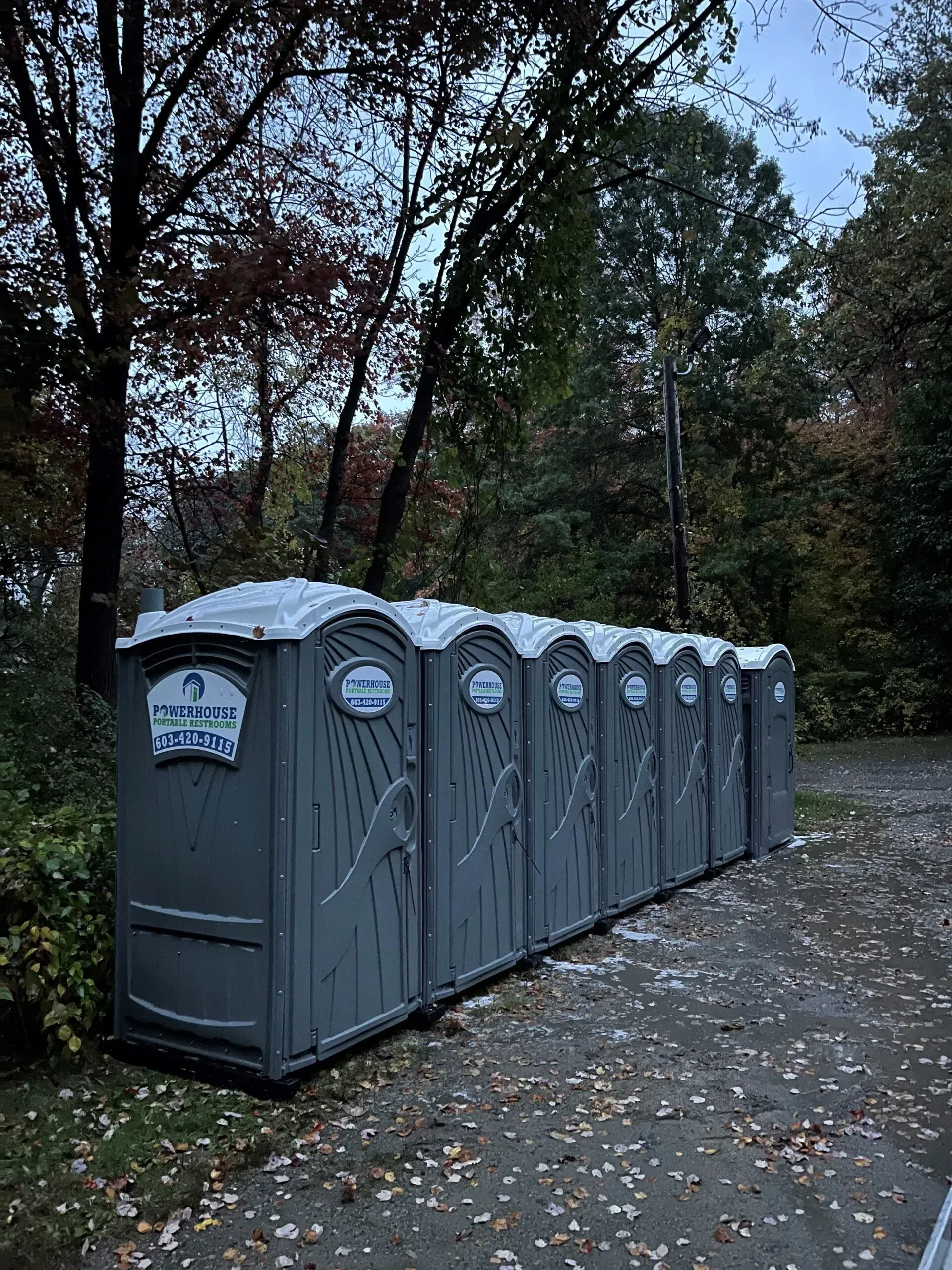 A row of grey portable toilets stands on a paved path lined with autumn trees at dusk.