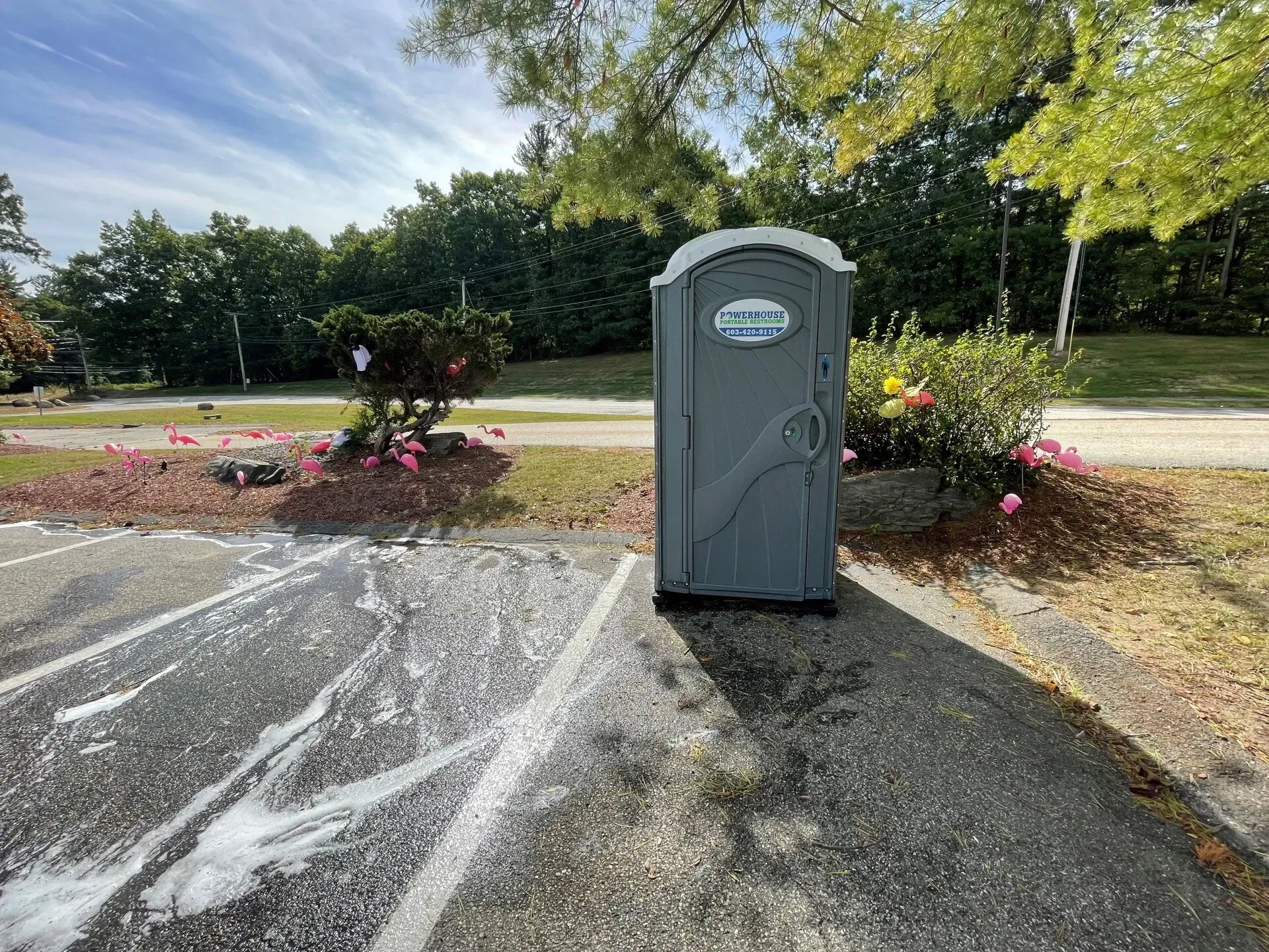 A gray portable toilet sits on the edge of an asphalt parking lot, next to a small garden bed and green trees.