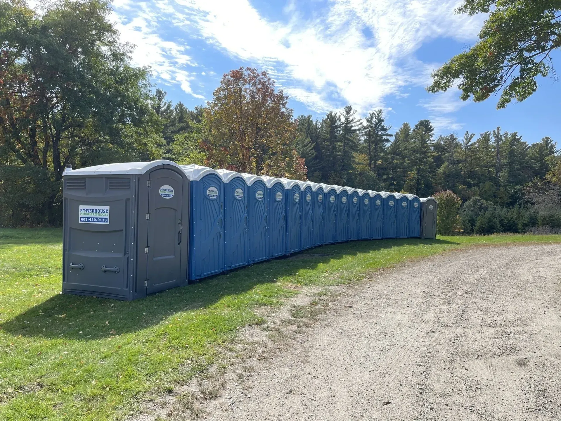 A long row of blue portable toilets parked on a grassy verge next to a gravel path with a forest in the background.