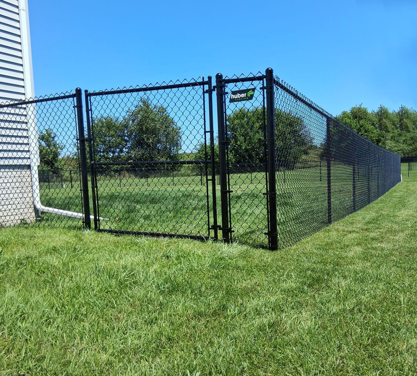 Black chain-link fence enclosing a grassy yard, near a white house and under a blue sky.