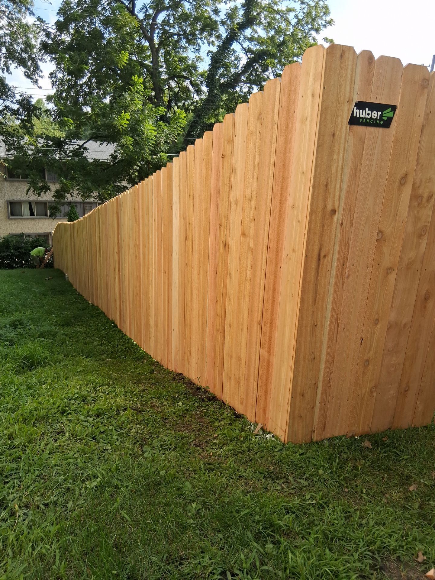Wooden fence in a yard with green grass and trees.
