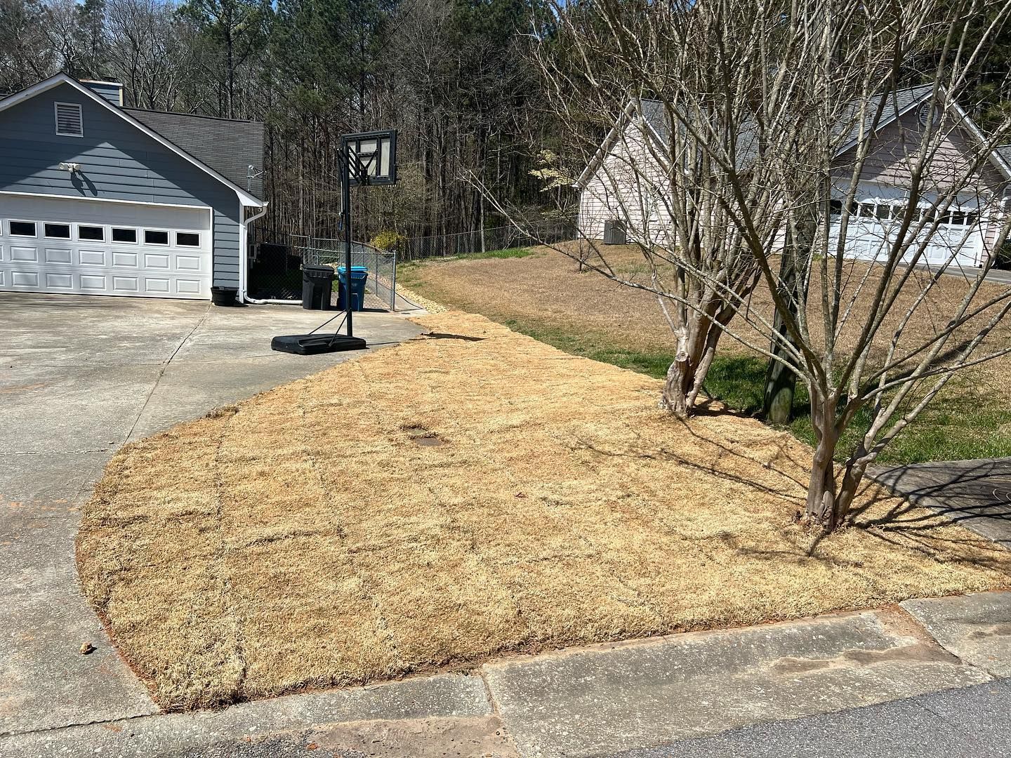 A basketball hoop is sitting in the grass in front of a house.