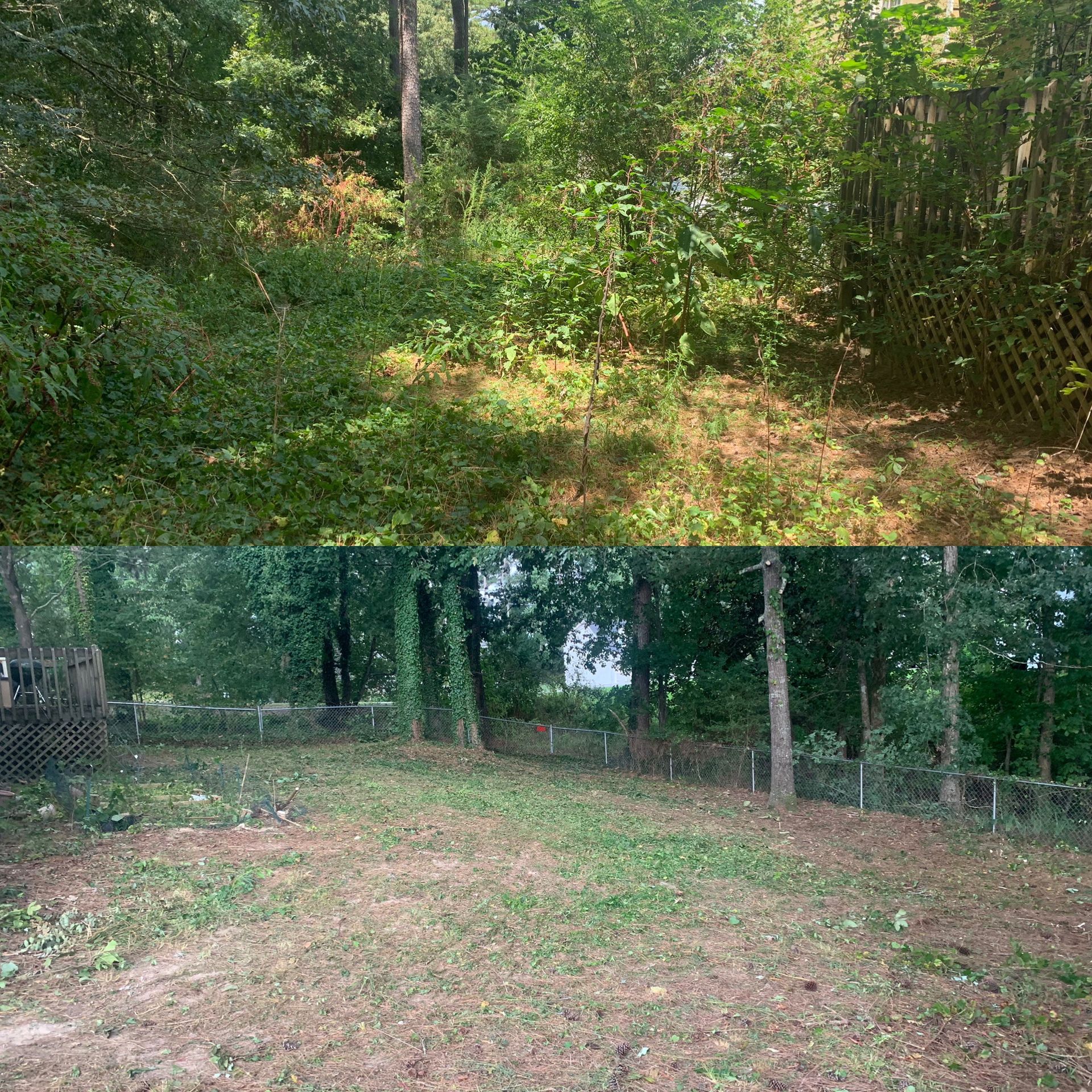 a before and after picture of a yard with trees and a fence