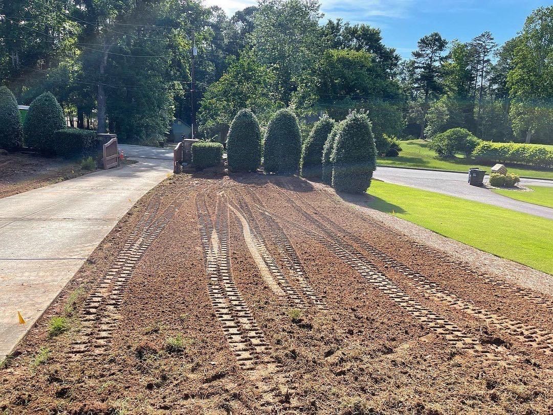 A dirt road with trees on the side of it.
