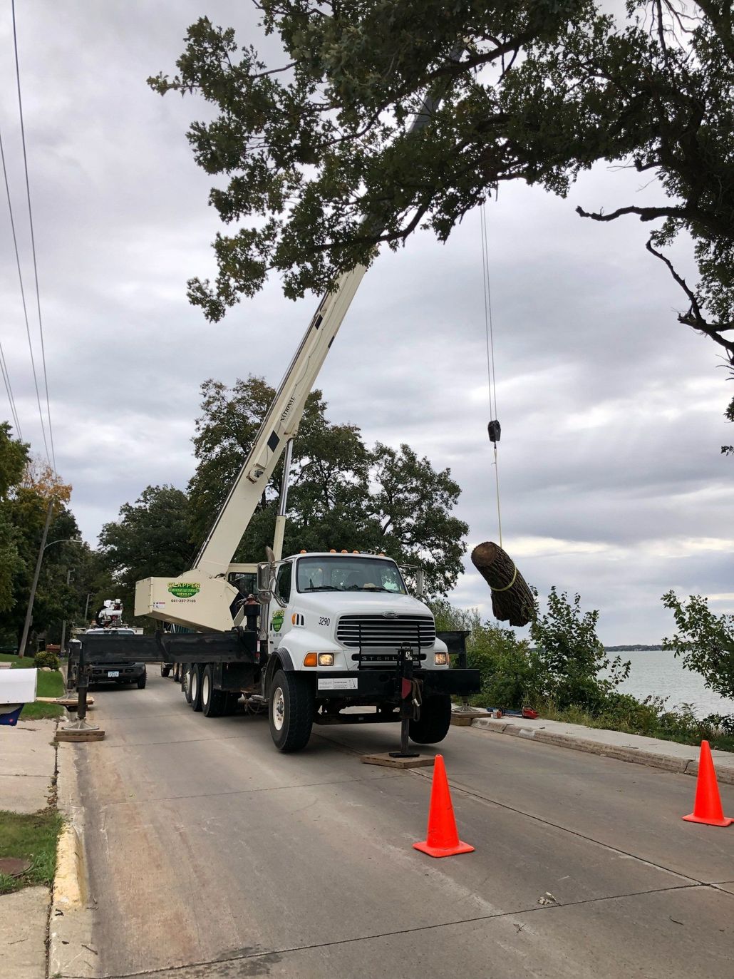 Tree trimming truck on road with raised arm, lowering cut branch near water, cloudy sky.