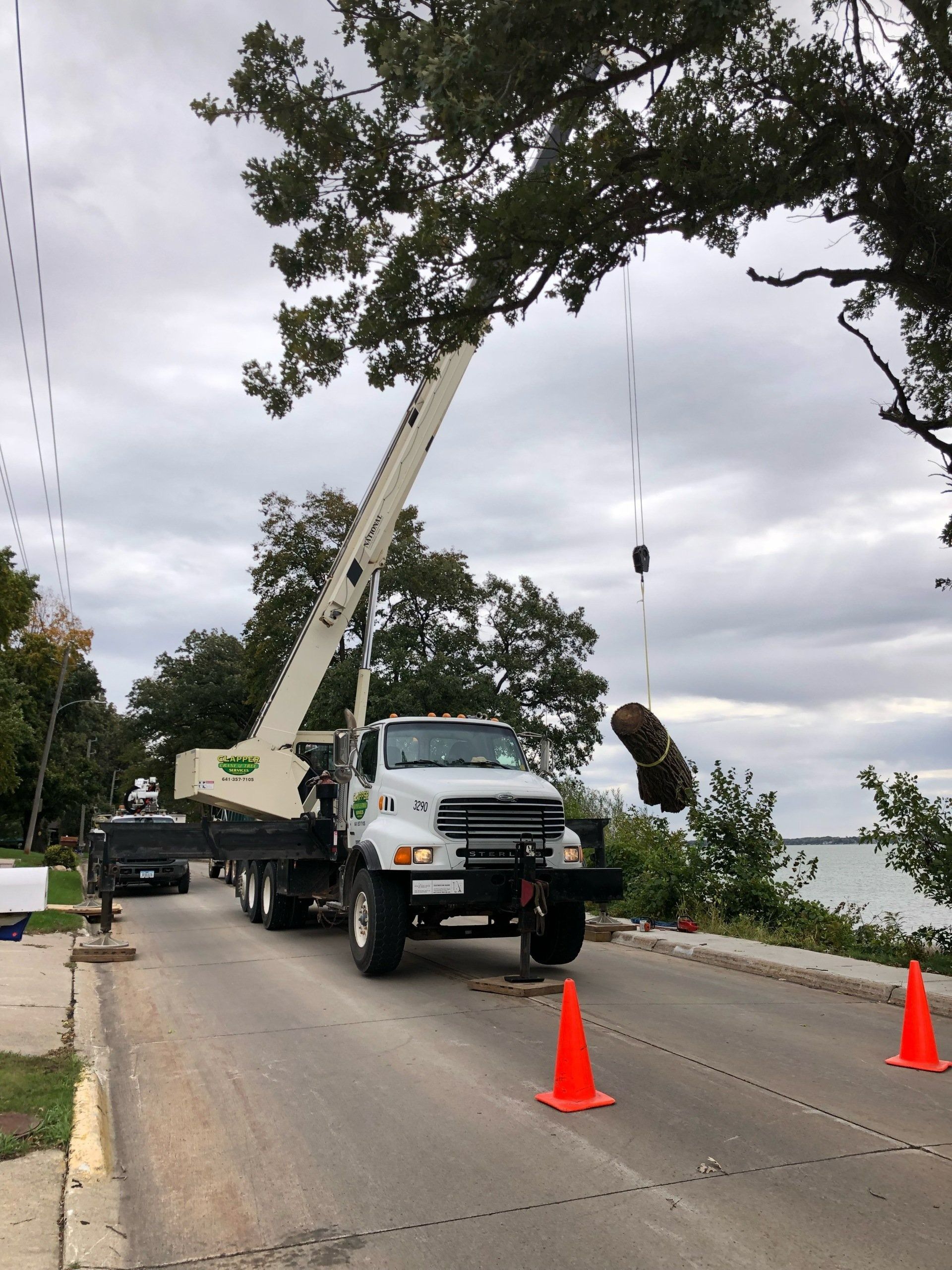 Tree trimming truck on road with raised arm, lowering cut branch near water, cloudy sky.