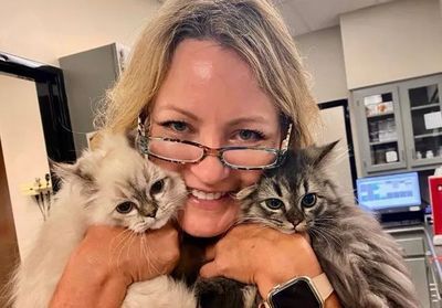 Woman with glasses smiles, holding two fluffy kittens in a veterinary office.