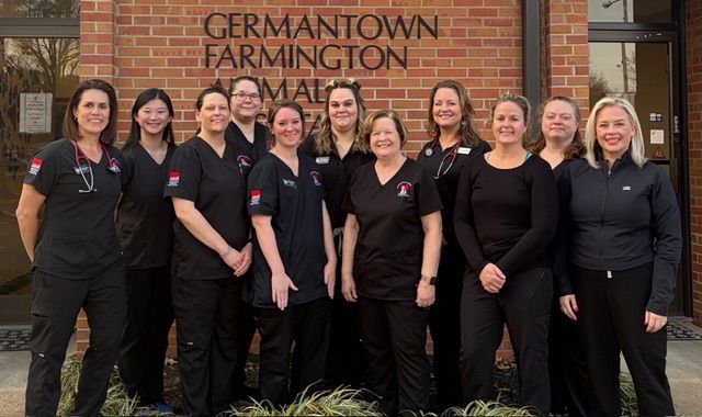 Group of staff posing in front of