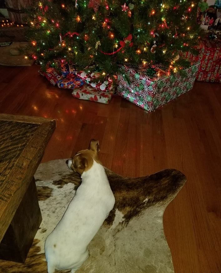 flooring by Hull Hardwood Flooring