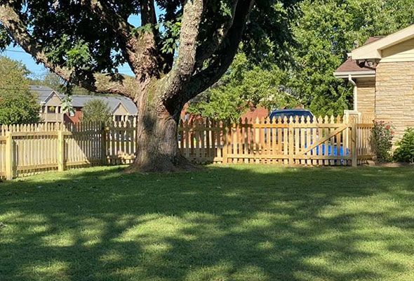 A backyard with a wooden picket fence and a tree.