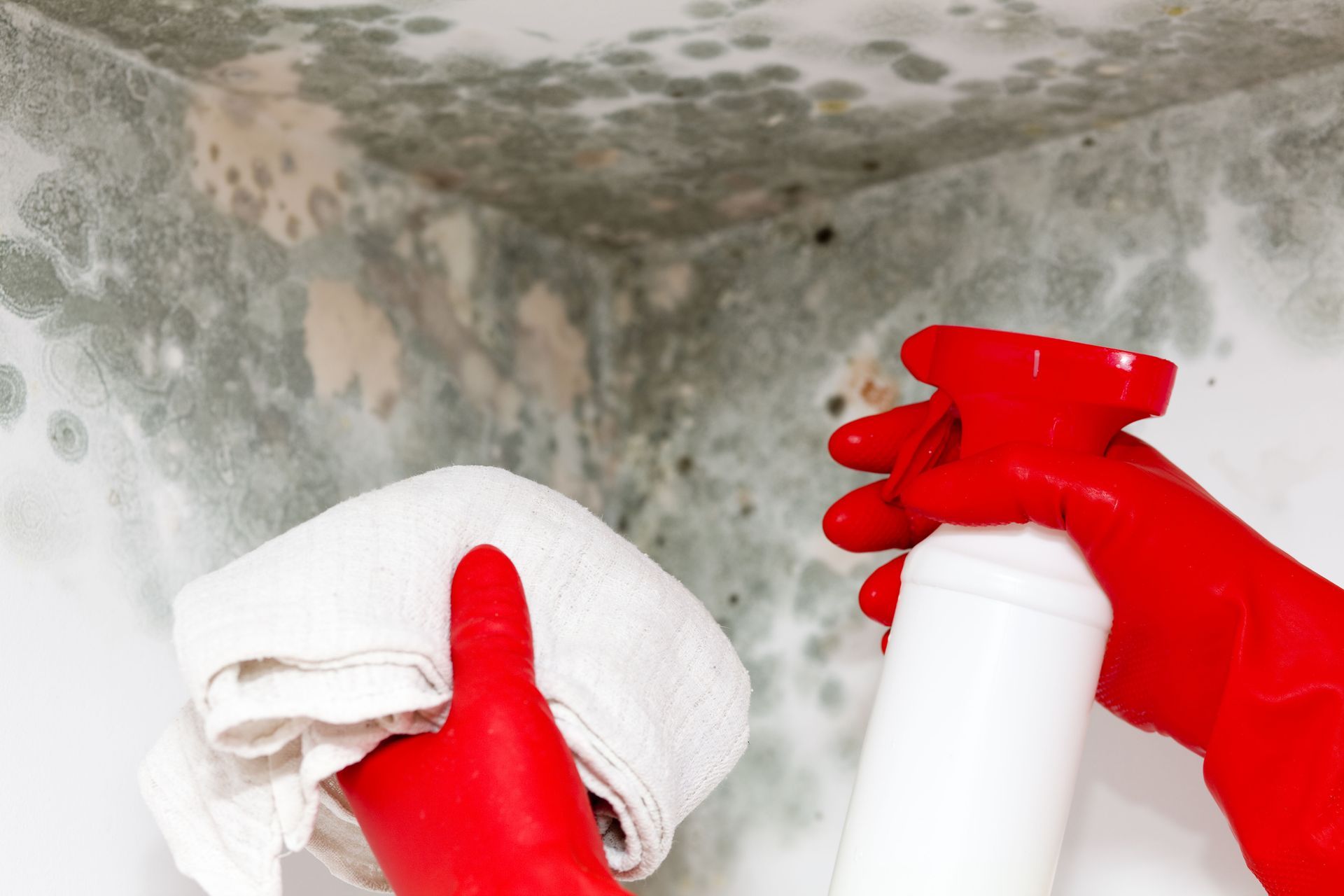 water damage service