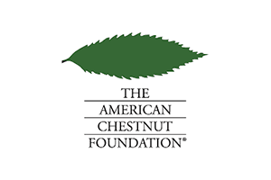 The american chestnut foundation logo is a green leaf on a white background.
