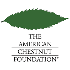 American Chestnut Foundation