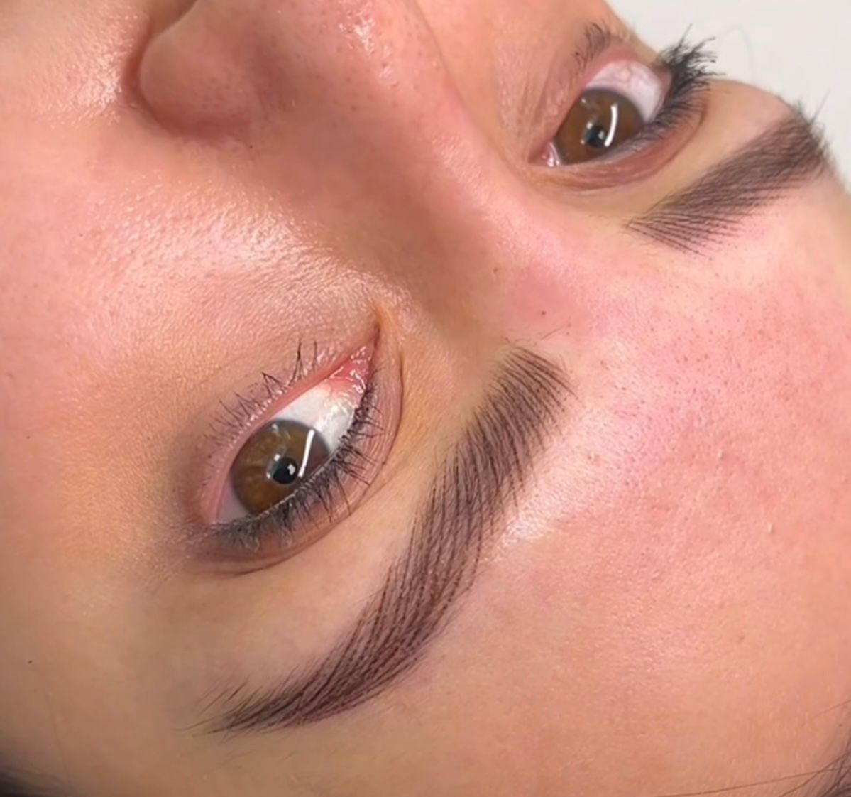 Close-up of a person with brown eyes and finely drawn eyebrow tattoos.