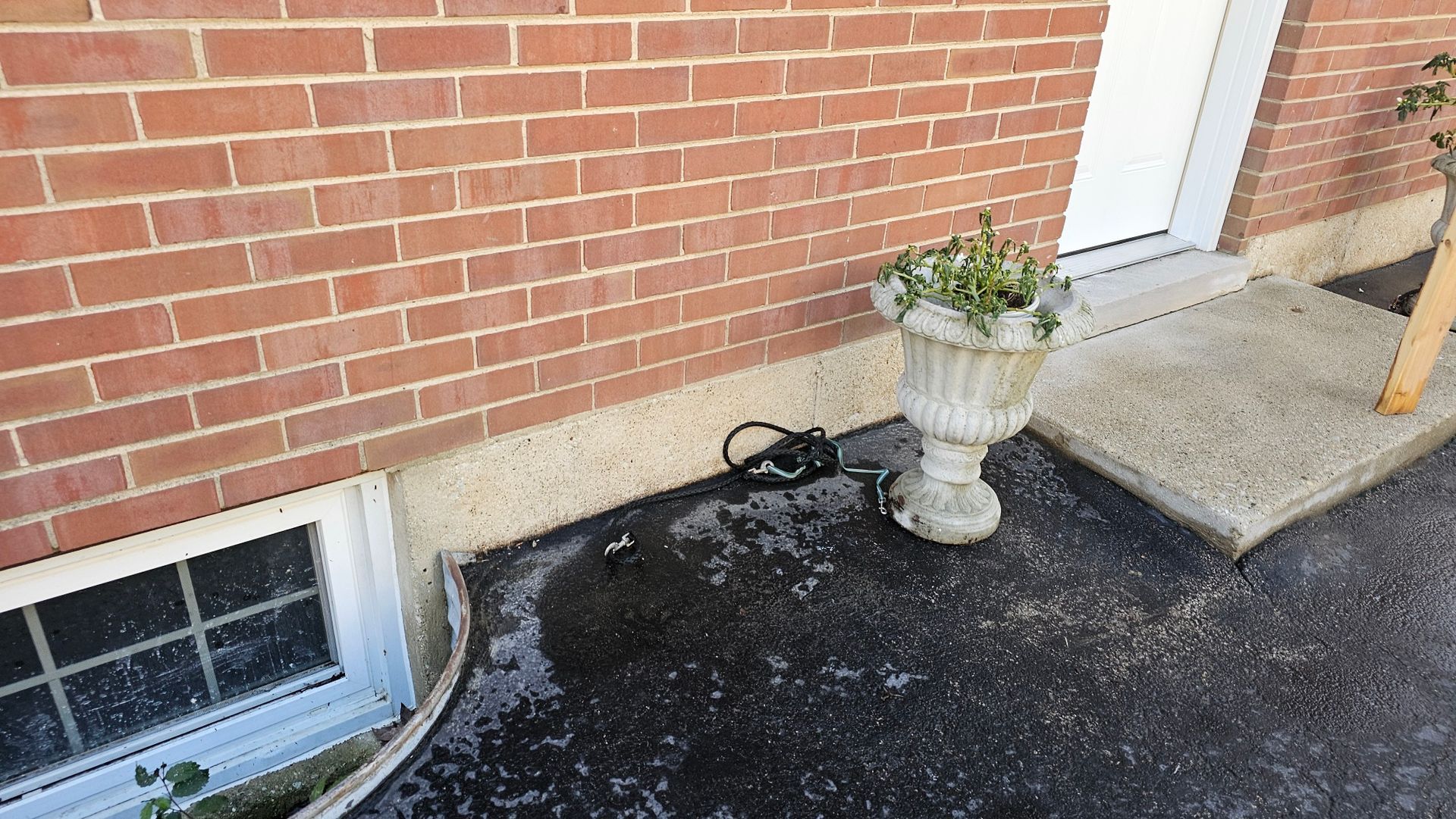 A potted plant is sitting on the sidewalk in front of a brick building.