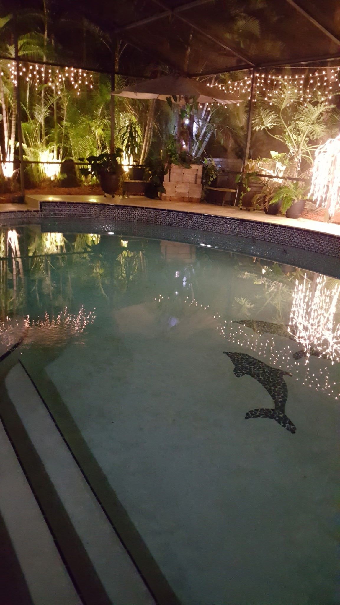 nighttime view of pool with dolphin mosaic, surrounded by string lights and greenery