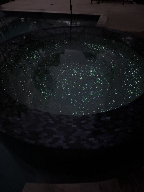Dark circular pool or basin with scattered green glowing specks in dim lighting
