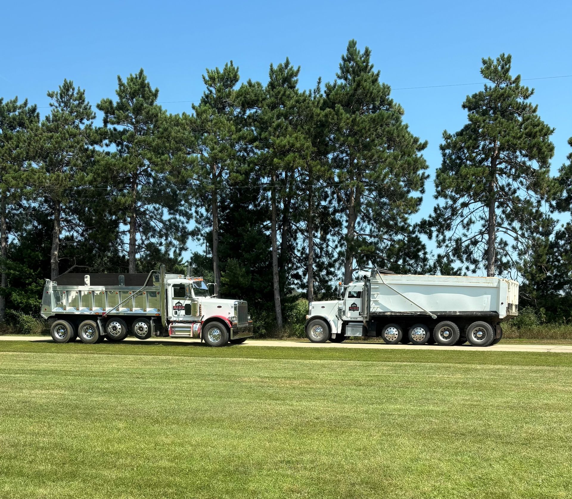 Two white dump trucks parked side-by-side on a gravel path in front of a line of evergreen trees against a clear blue sky.