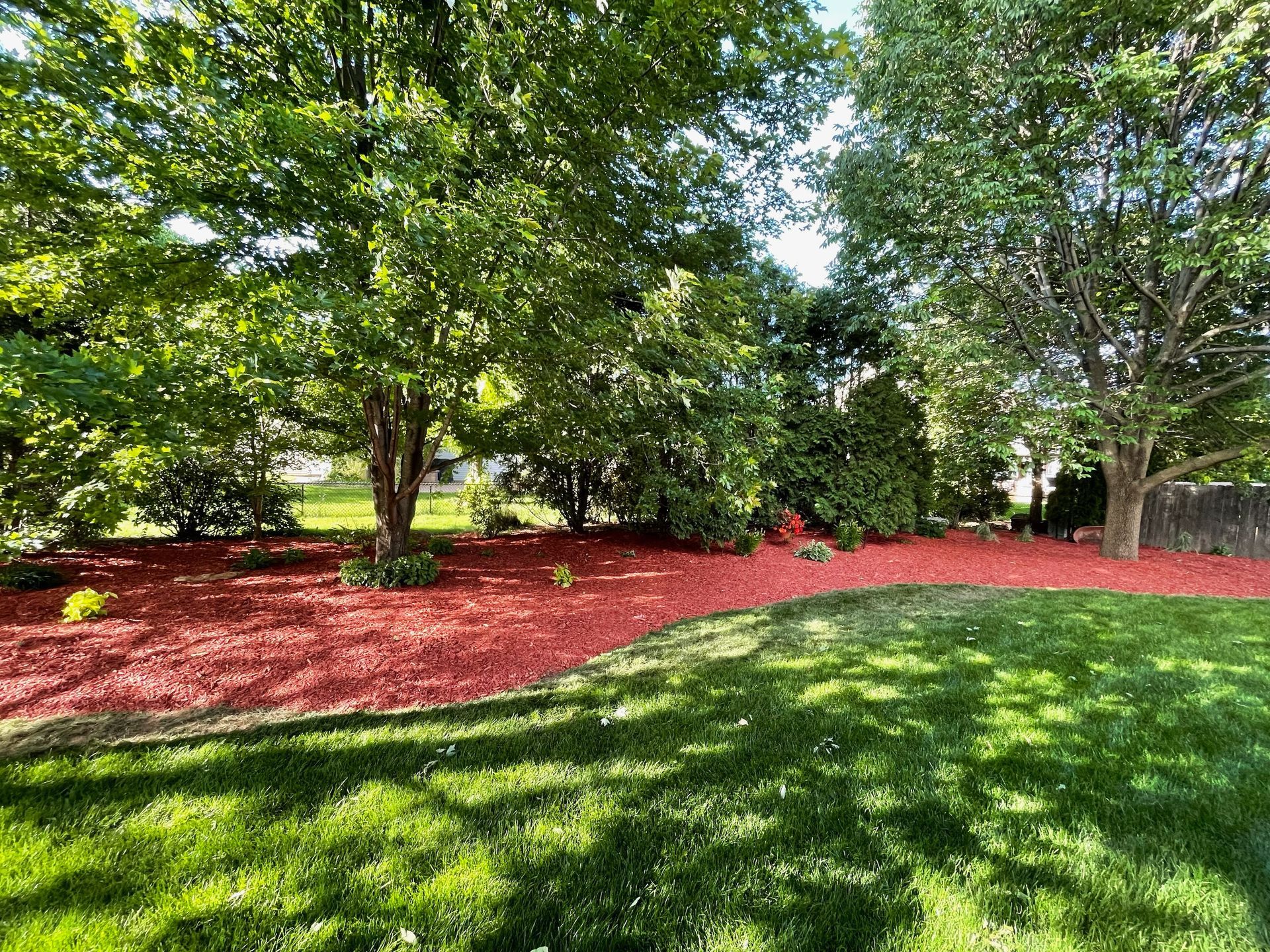 A lush green lawn with red mulch and trees in the background.