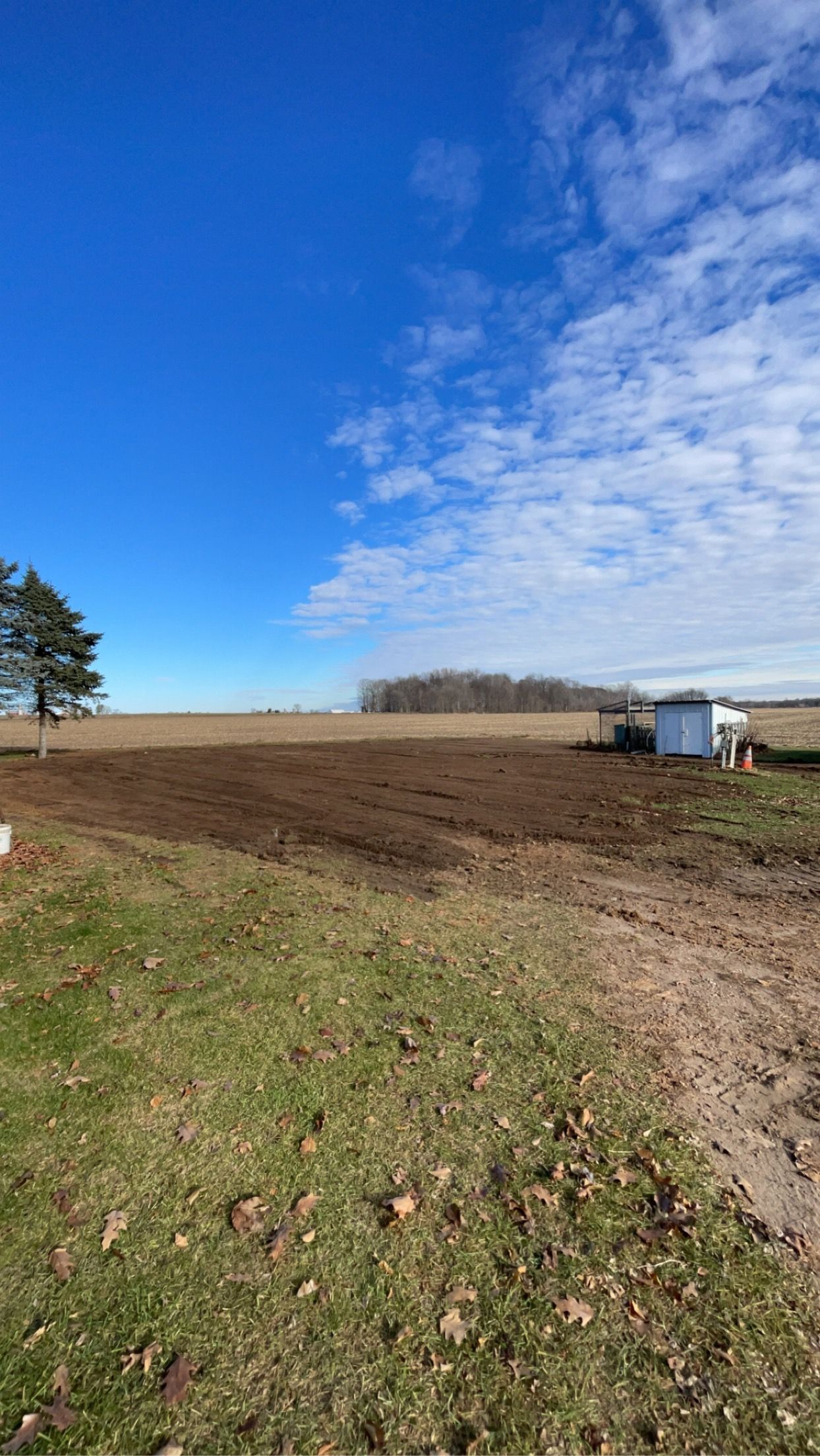 A dirt road going through a grassy field with a blue sky in the background.