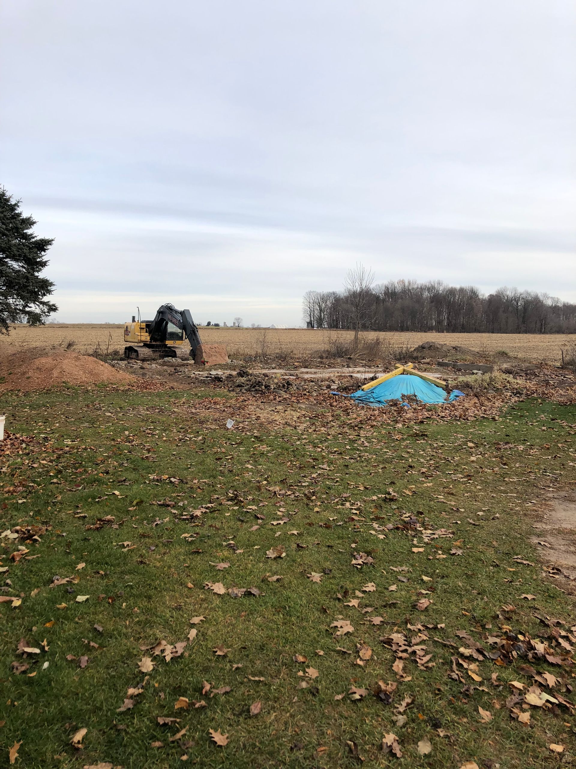 An excavator is working in a field covered in leaves.
