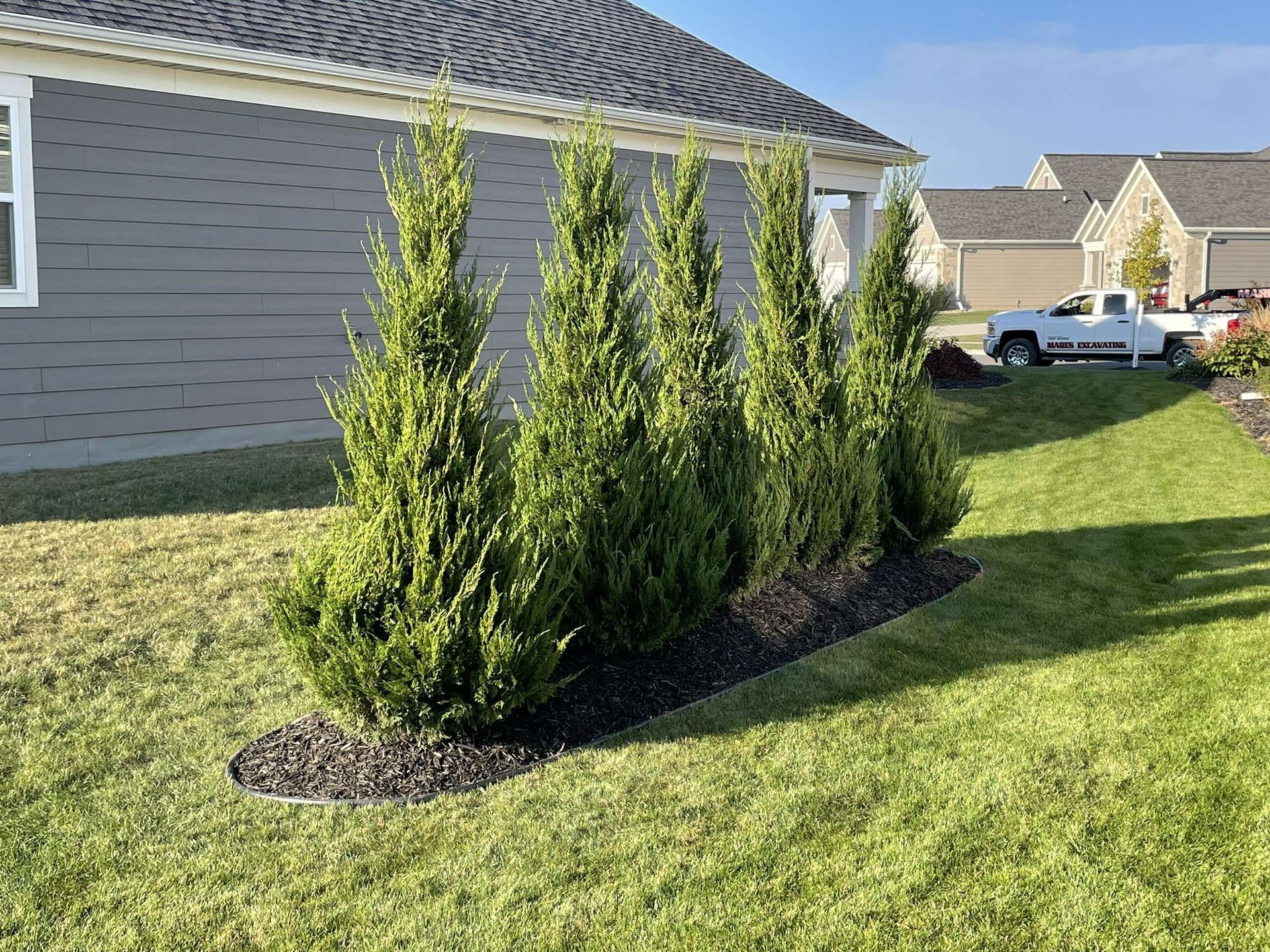 A row of trees in a yard in front of a house.