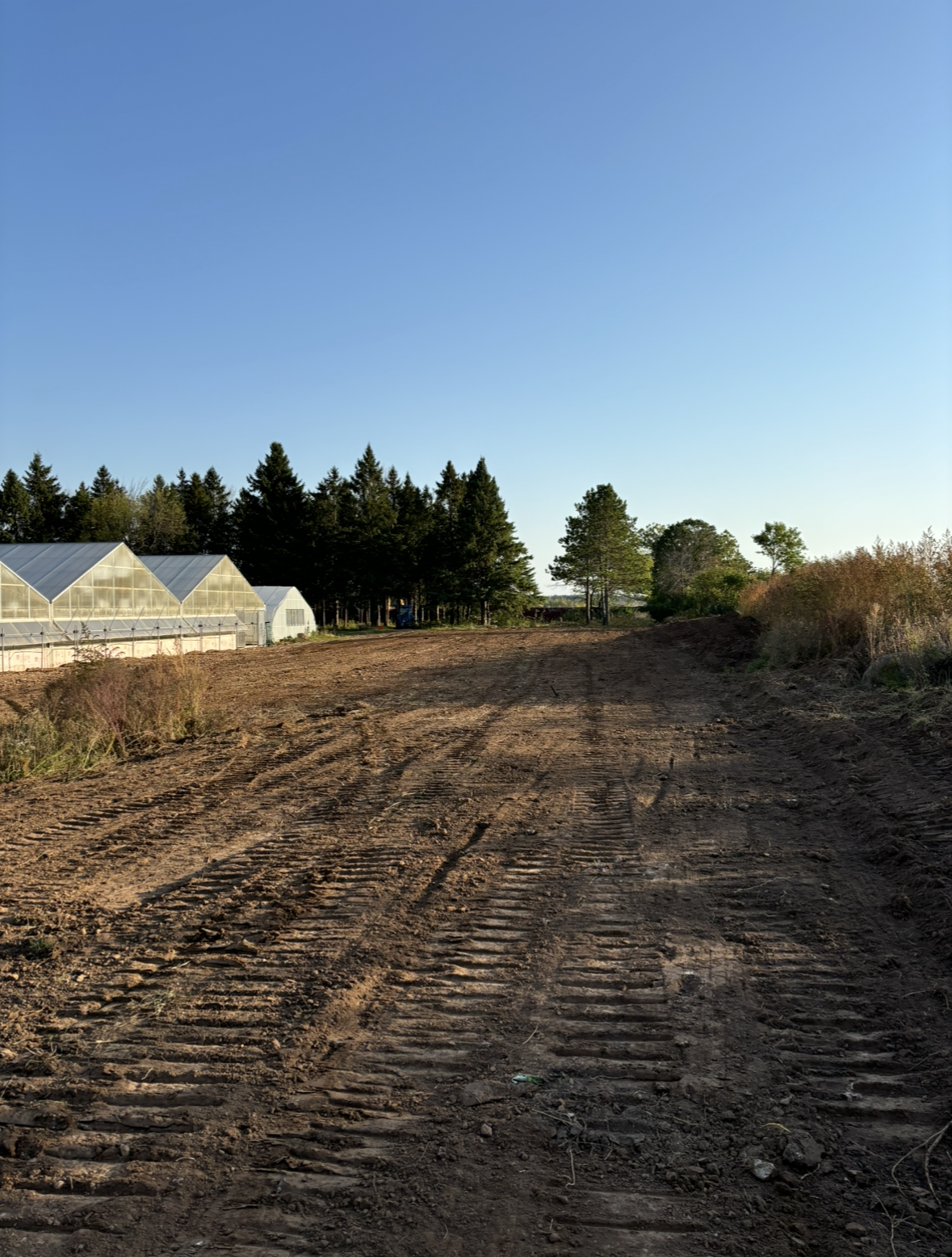 A dirt road with a greenhouse in the background