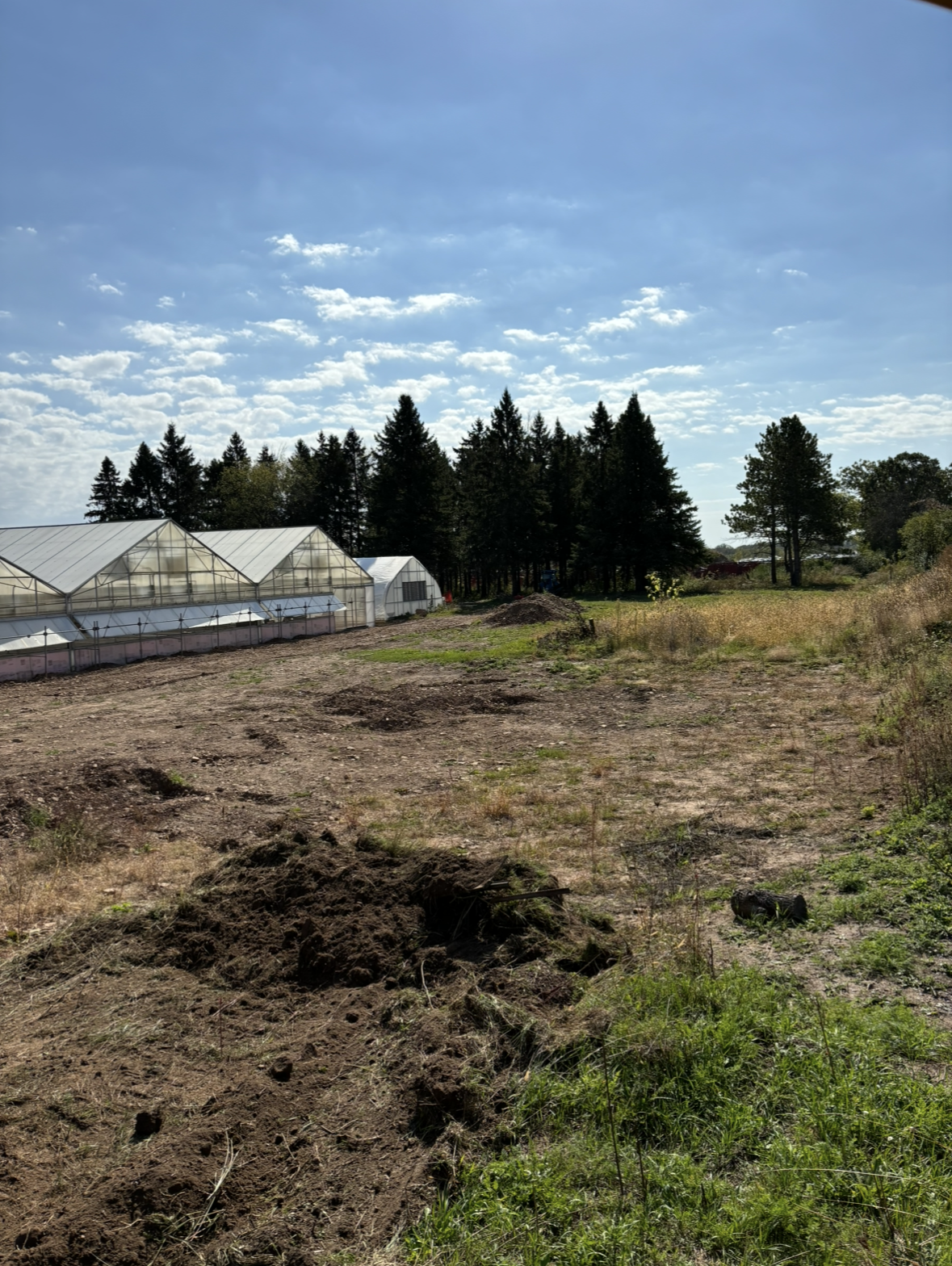 A field with a greenhouse in the background and trees in the background.