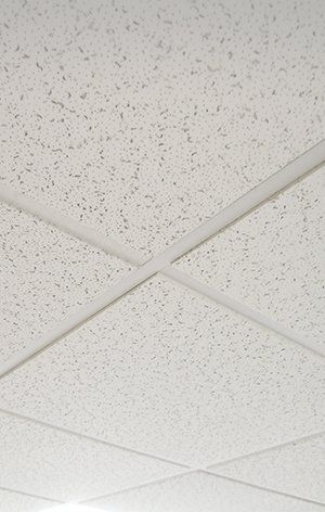Panel ceiling