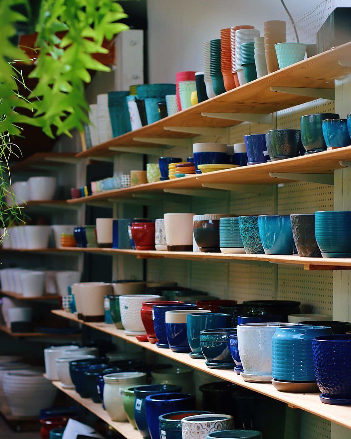 Designs By Lee Inc garden products