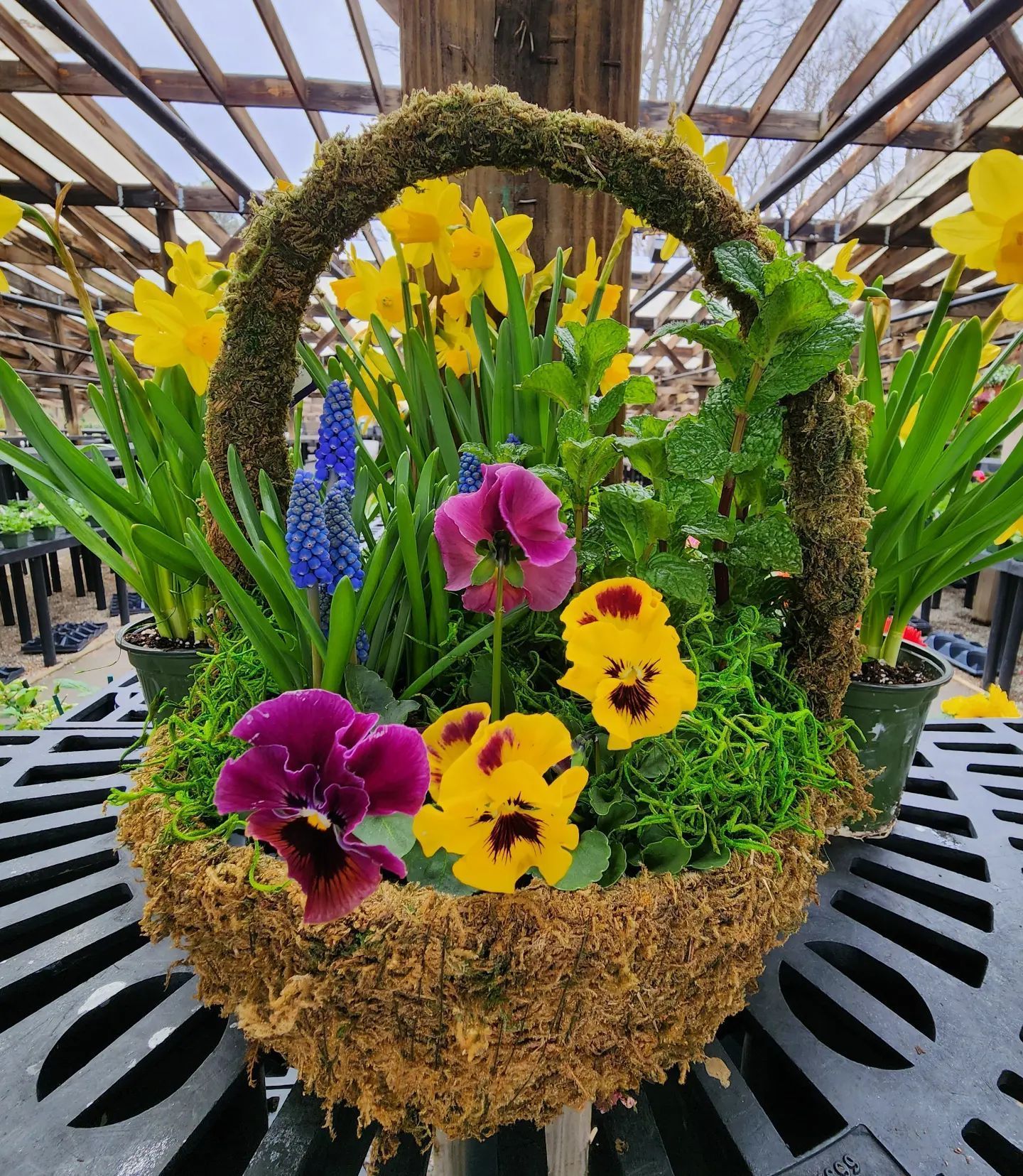 Designs By Lee Inc nursery