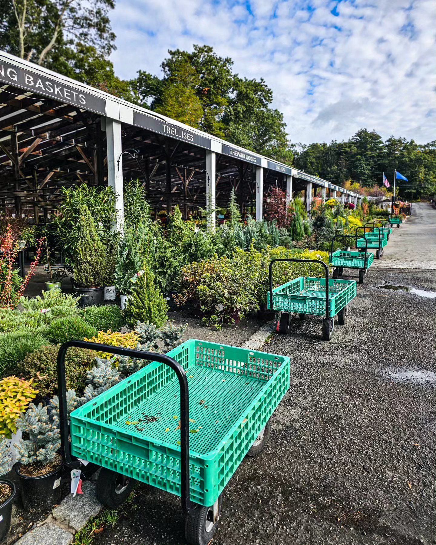 Designs By Lee Inc nursery