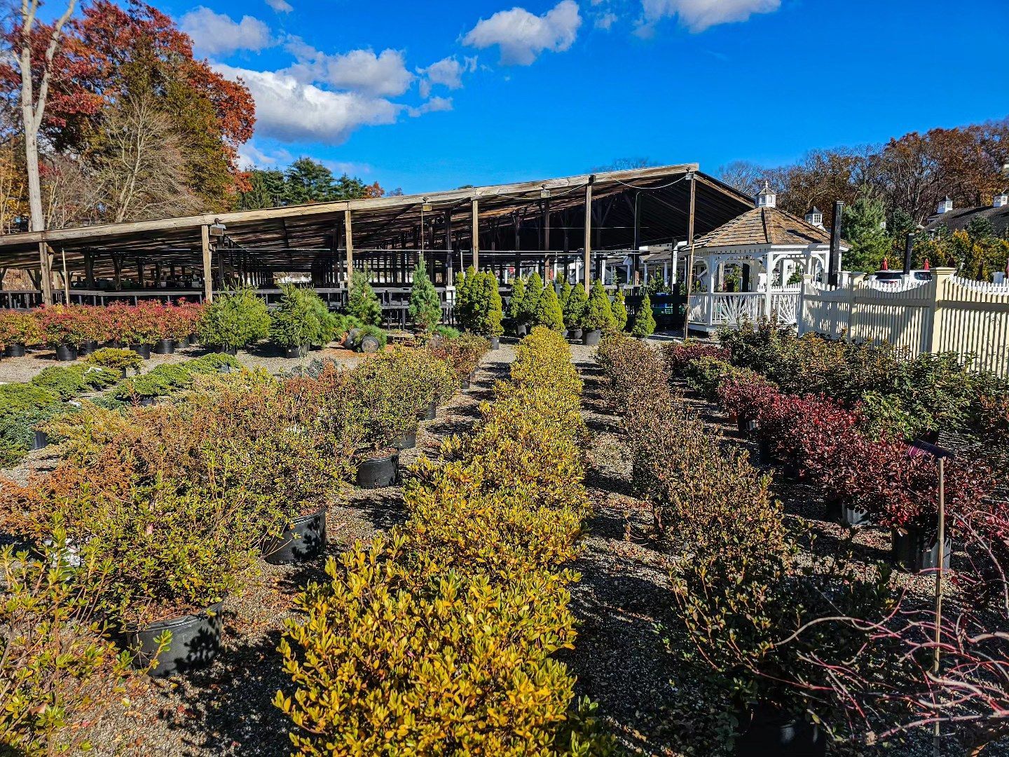 Designs By Lee Inc nursery