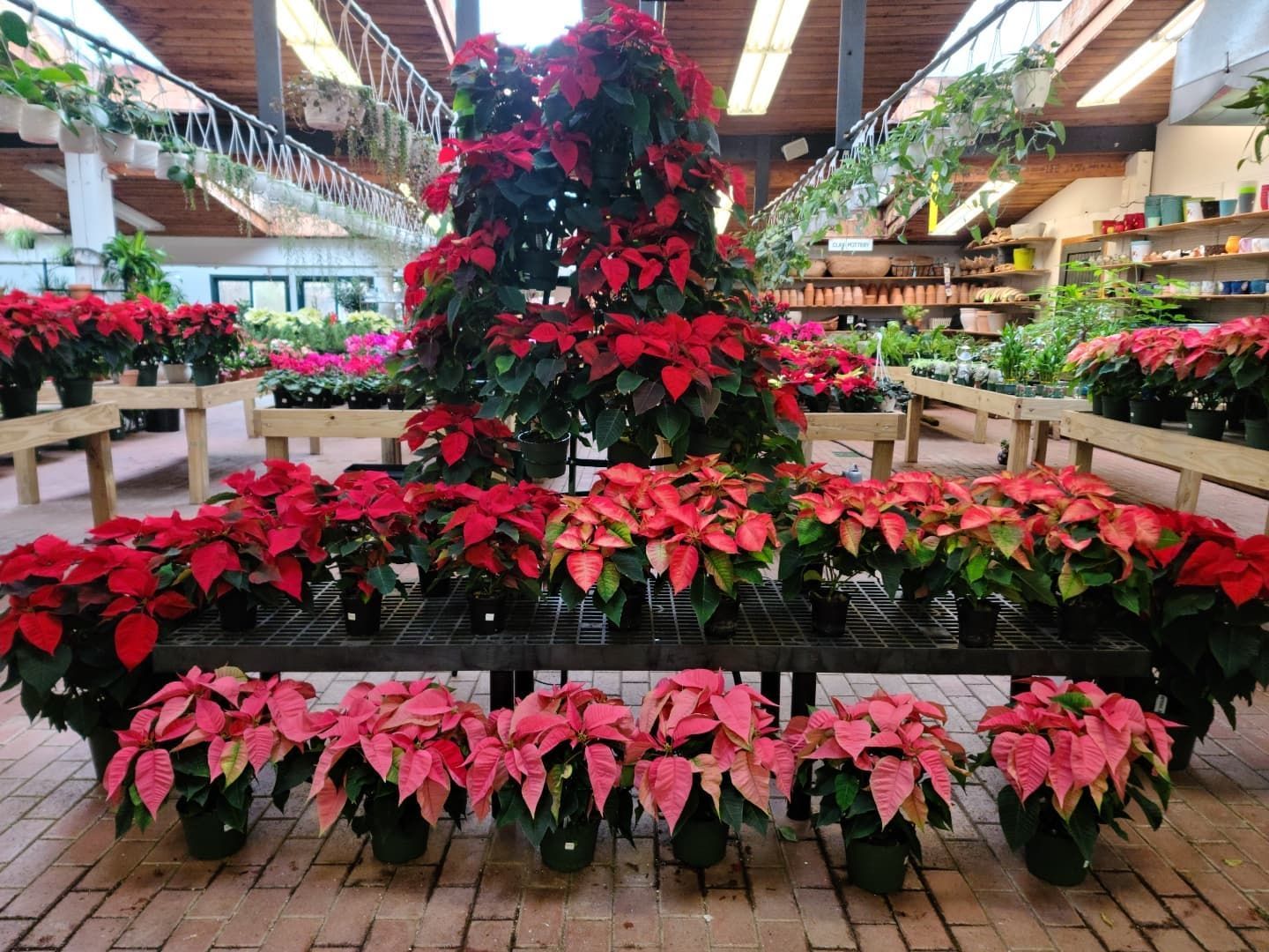 Designs By Lee Inc nursery