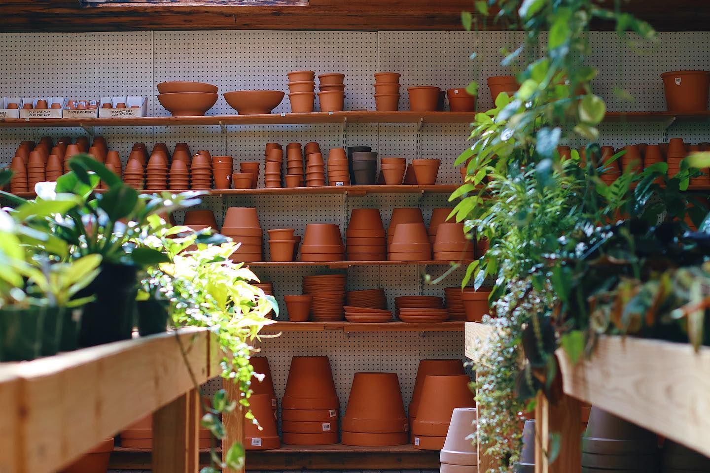 Designs By Lee Inc garden products