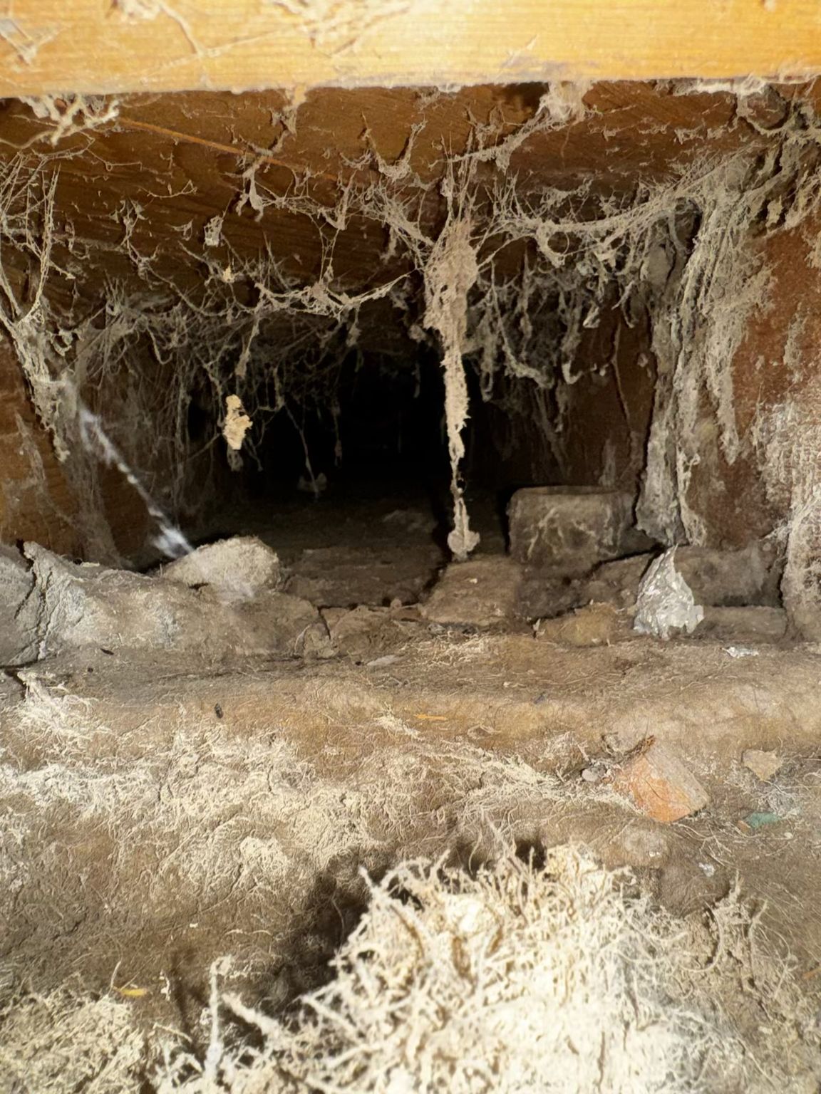 Dark crawl space with cobwebs, debris, and a dim interior.