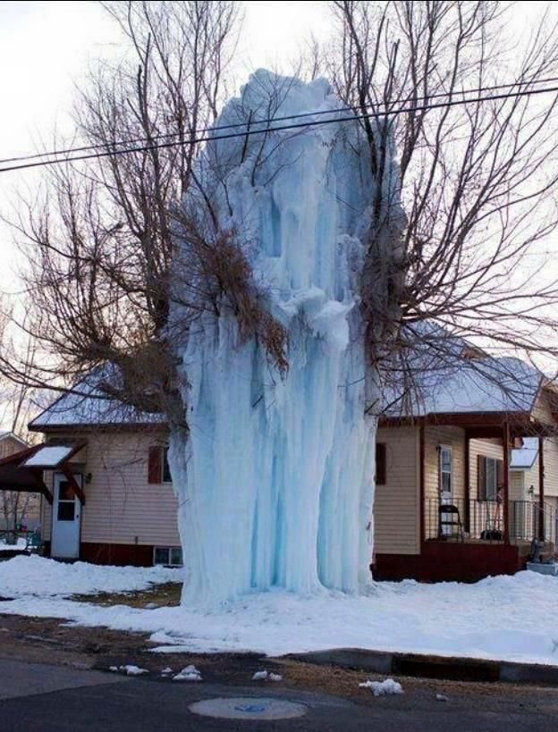Frozen water gushes from a pipe, engulfing a tree in ice, next to a house with snow.